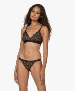 Love Stories Love Lace Bralette - Leopard -Mode Kleding 07937164 ba77 4090 9d49 564222a67f5a