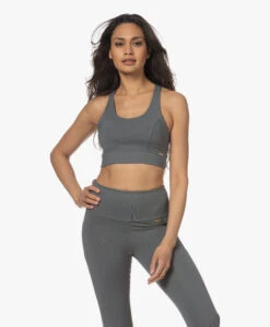 Deblon Sports Michelle Cropped Bh Top - Gray