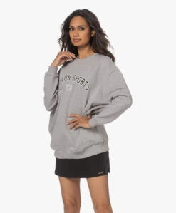 Deblon Sports Gigi Oversized Logo Sweatshirt - Grijs Mêlee -Mode Kleding 230613 a39a283f e278 41fd adb8 3feb64781762