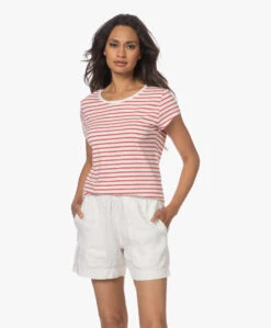 No Man'S Land Gestreept Viscosemix T-Shirt - Flamingo -Mode Kleding 230614 f1831336 af00 458e b928 c43099ec20c0