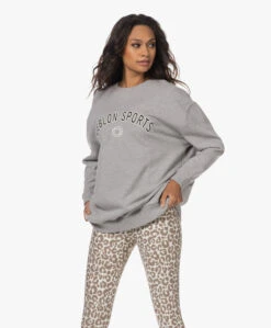 Deblon Sports Gigi Oversized Logo Sweatshirt - Grijs Mêlee -Mode Kleding 230622 6c879b8c 93fa 4bf5 84cd 2023facab28d