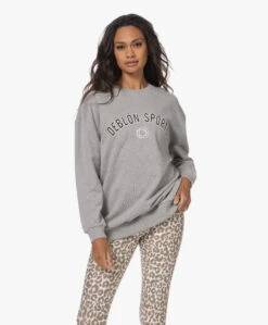 Deblon Sports Gigi Oversized Logo Sweatshirt - Grijs Mêlee