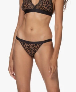 Love Stories Wild Rose Lace Slip - Leopard