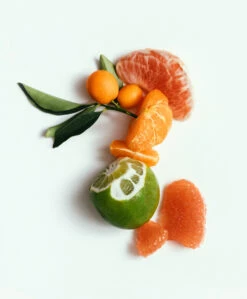 Corpus Natuurlijke Verzorgende Cleansing Bar - No. Green 5 Corpus Natuurlijke Verzorgende Cleansing Bar - No. Green -Mode Kleding 545b1c6e 2b15 4cb4 94db 30f0068e7e2a 03