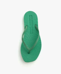 Sleepers Tapered Teenslippers Van Natuurlijk Rubber - Smaragdgroen 13 Sleepers Tapered Teenslippers Van Natuurlijk Rubber - Smaragdgroen -Mode Kleding 684de219 7fa3 4252 87e3 e7ef753d9836 08