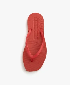 Sleepers Tapered Teenslippers Van Natuurlijk Rubber - Rood 14 Sleepers Tapered Teenslippers Van Natuurlijk Rubber - Rood -Mode Kleding 6dd21bd3 51c5 4421 9a08 326ffcdd4104 37