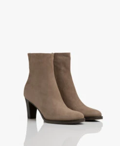 Panara Suède Enkellaars Met Hak - Taupe -Mode Kleding Panara Sude Enkellaars met Hak Taupe 350