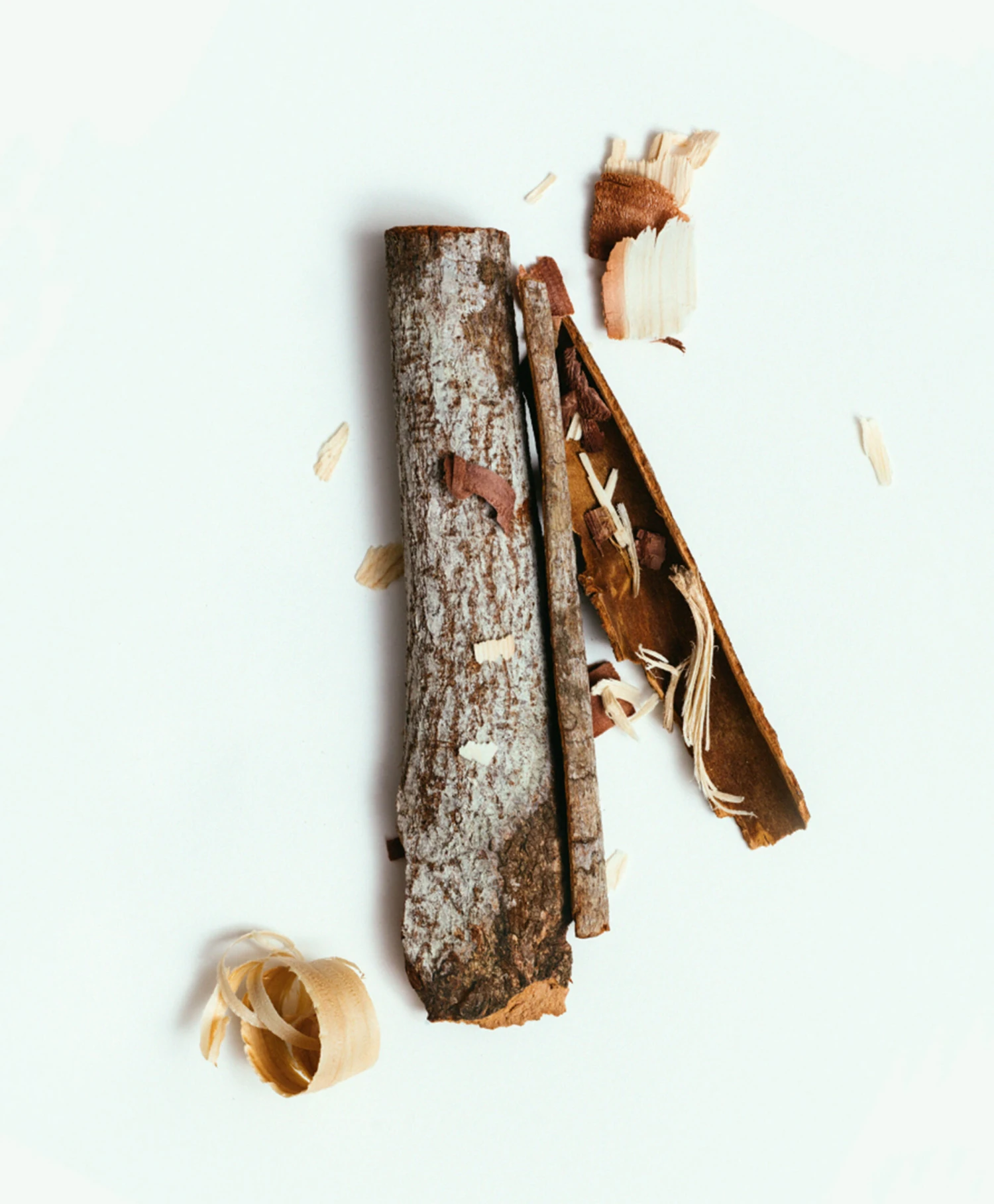 Corpus Long-Lasting Natuurlijke Deodorant Stick - Santalum 5 Corpus Long-Lasting Natuurlijke Deodorant Stick - Santalum - Afbeelding 5