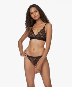 Love Stories Love Lace Bralette - Leopard -Mode Kleding c0c92f07 4c10 4d84 a167 9a56dd2af4c3