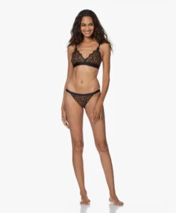 Love Stories Wild Rose Lace Slip - Leopard -Mode Kleding e60f33ba 08b0 44c5 9dca 3c62e92a0154