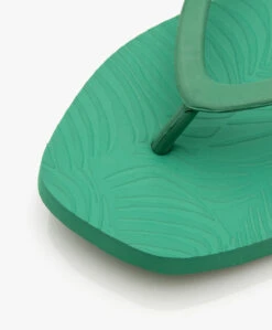 Sleepers Tapered Teenslippers Van Natuurlijk Rubber - Smaragdgroen 11 Sleepers Tapered Teenslippers Van Natuurlijk Rubber - Smaragdgroen -Mode Kleding ec7aa975 1e8b 4f8f b106 0bd43712c77d 02