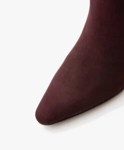 Panara Suède Leren Enkellaarzen - Melanzana 15 Panara Suède Leren Enkellaarzen - Melanzana -Mode Kleding f217d3a4 abe1 4262 87ad 3fd6dd2ddbee 679